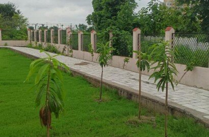 Plot / Land