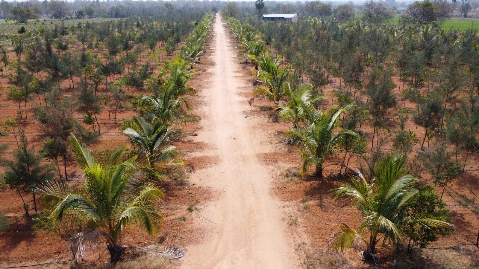 DTCP RERA Approved Open Plots and Farm Land Plots