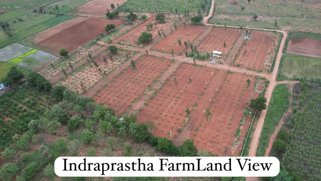 DTCP RERA Approved Open Plots and Farm Land Plots